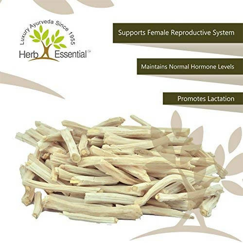 Herb Essential Shatavari Powder 