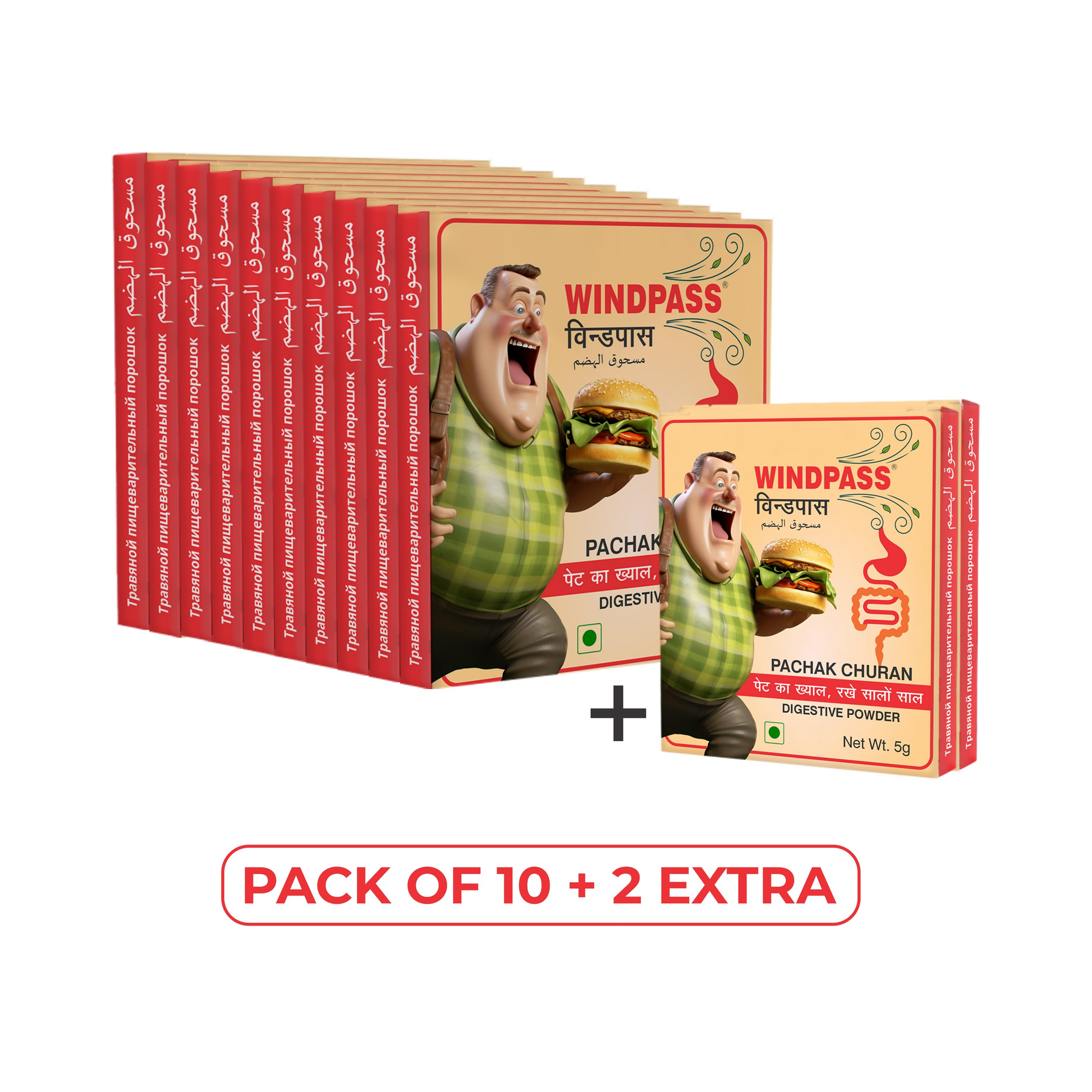 Satya Pharmaceuticals Ayurveda Windpass Pachak Churan Sachet 