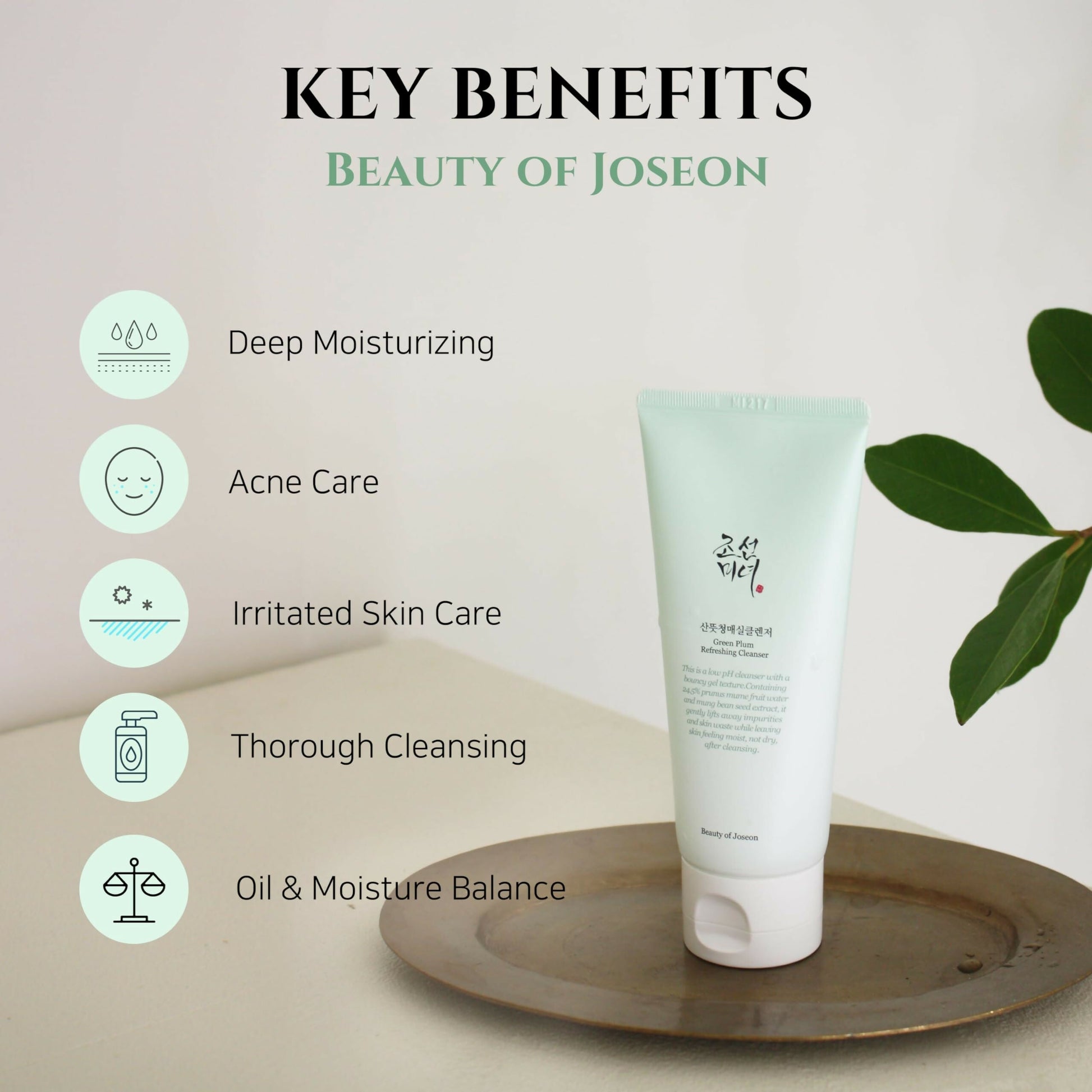 Beauty of Joseon Green Plum Refreshing Cleanser - Korean Skincare  Grab2Buy Beauty of Joseon Grab2Buy