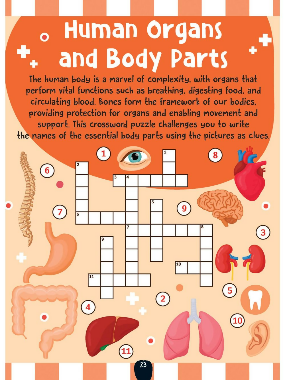 Dreamland Publications The Little Scientists Activity Book For Kids