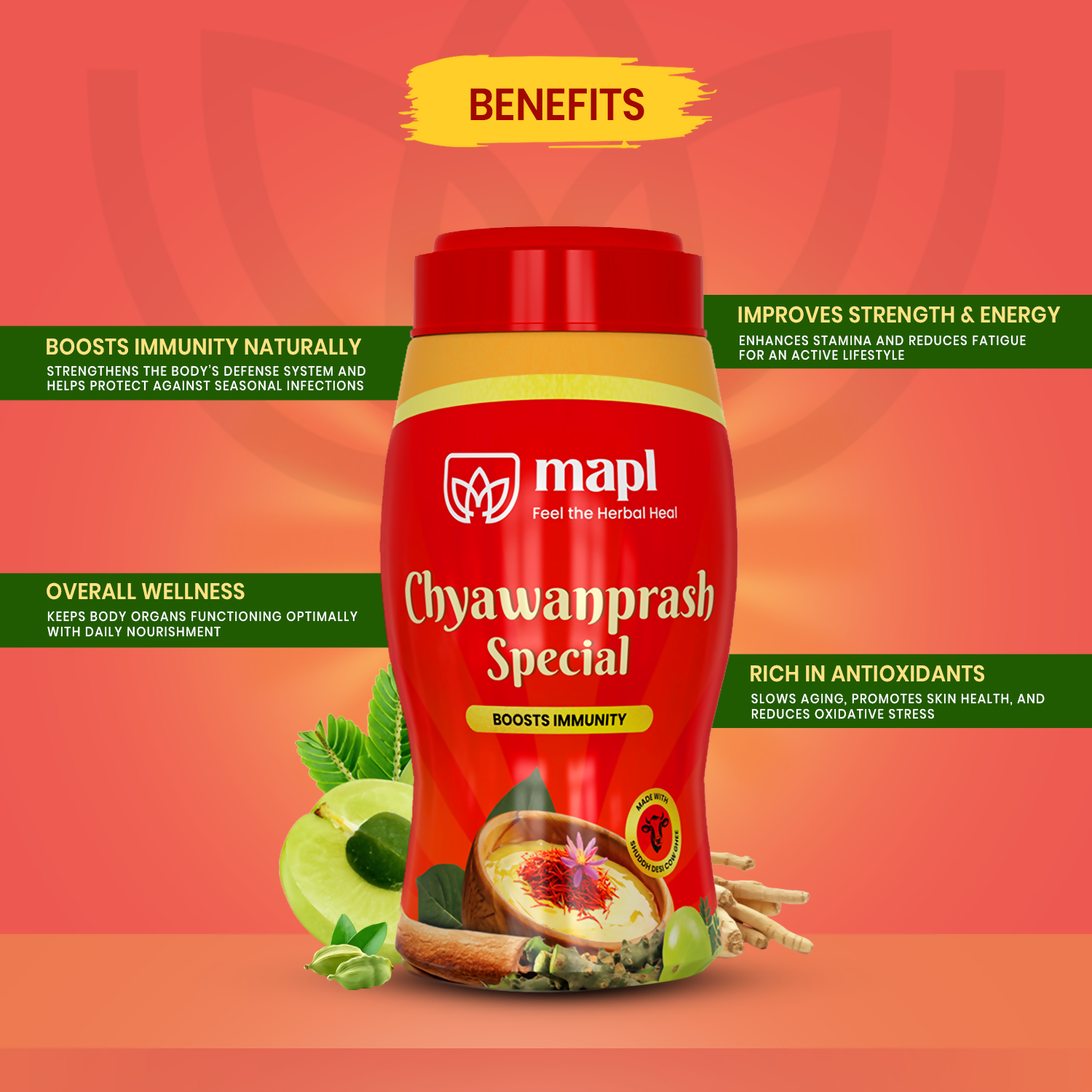 MAPL Chyawanparsh Special 
