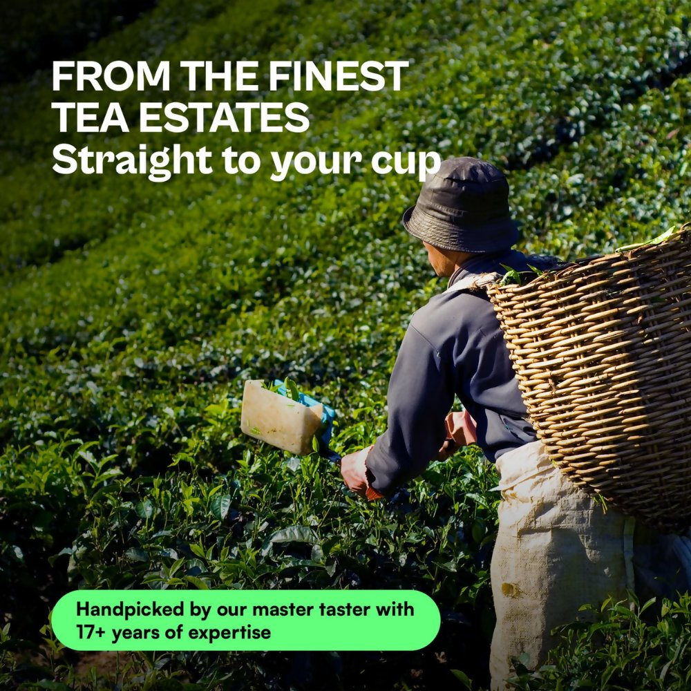Udyan Tea Himalayan Mist Green Tea  Grab2Buy Udyan Tea Grab2Buy