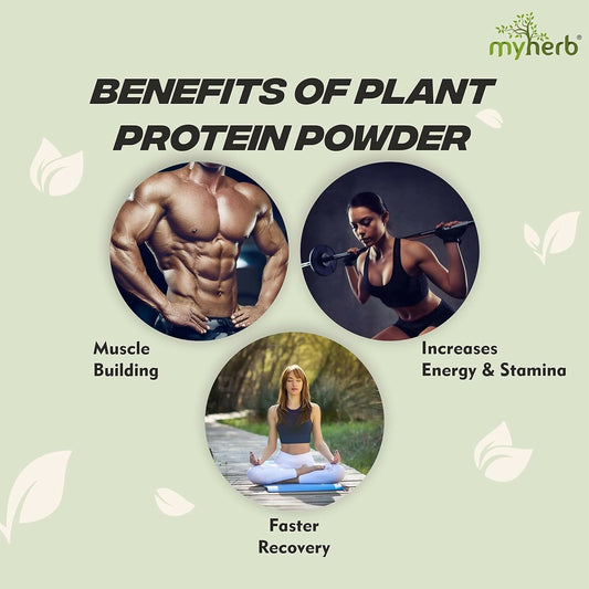 Myherb Plant Protein Powder, Pea And Brown Rice Protein Powder - Chocolate Flavour 