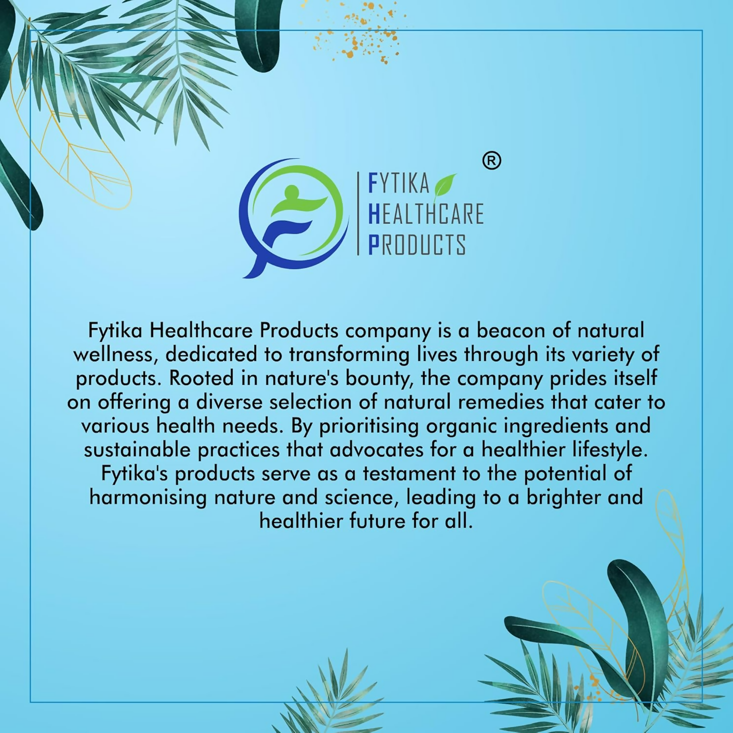 Fytika Healthcare Products Daily Protein Powder 