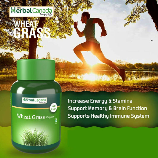 Herbal Canada Wheat Grass Capsules - Grab2buy