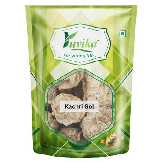 Yuvika Kachri Gol - Curcuma Zedoaria 