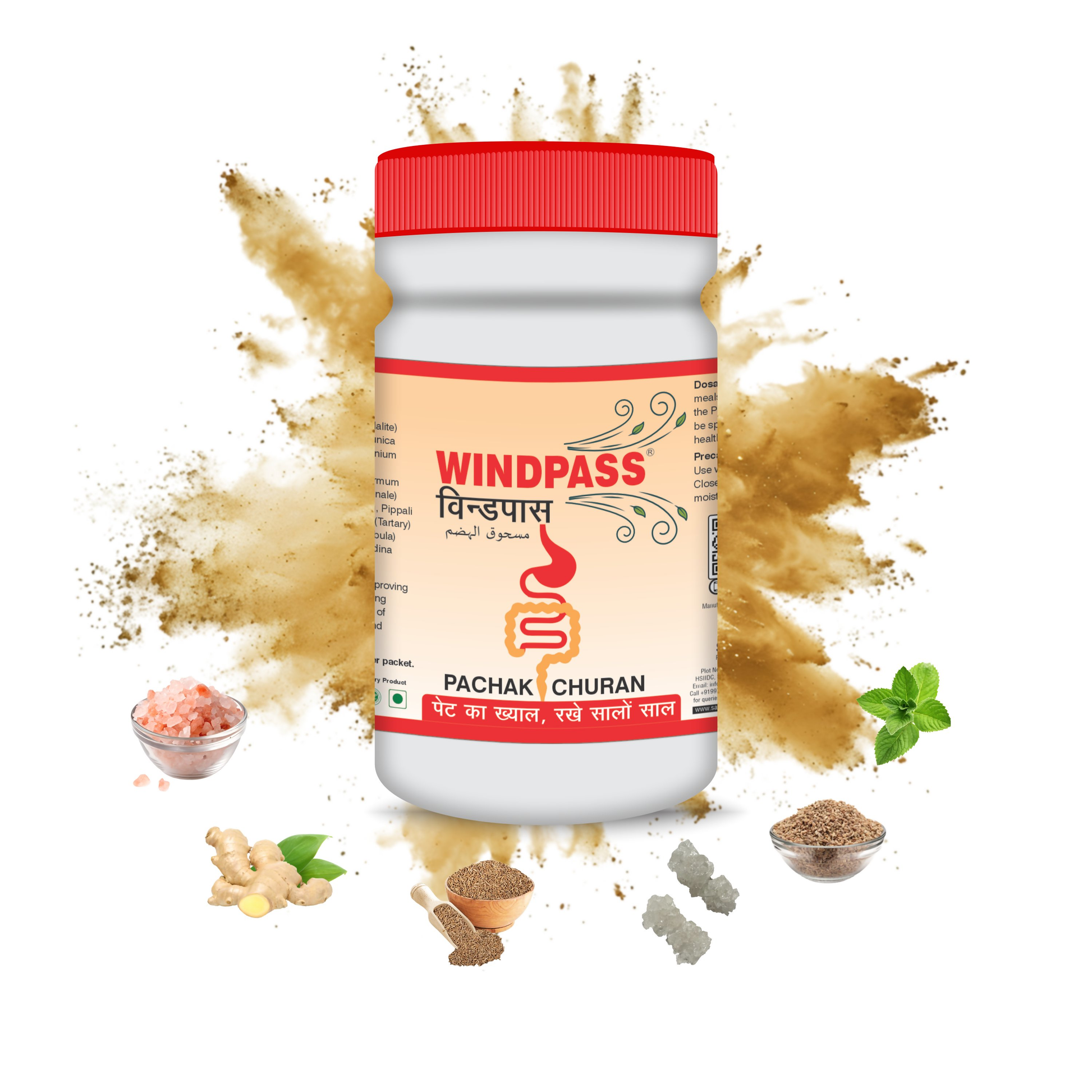 Satya Pharmaceuticals Ayurveda Windpass Pachak Churan 