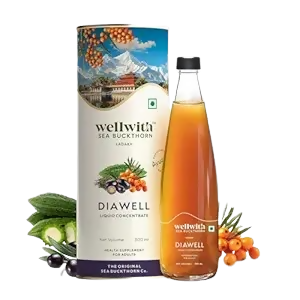Wellwith DiaboWin (Diawell) Karela & Jamun Juice with Seabuckthorn  Grab2Buy Wellwith Grab2Buy