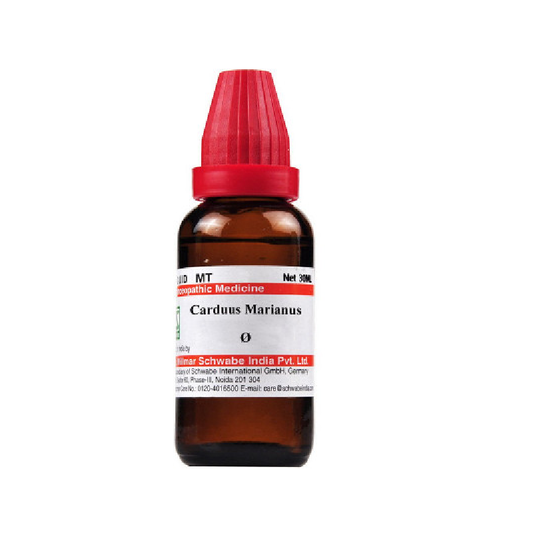 Dr Willmar Schwabe Homeopathic India Carduus Marianus 1X (Q) (30ml) for Indigestion Acidity Gas 