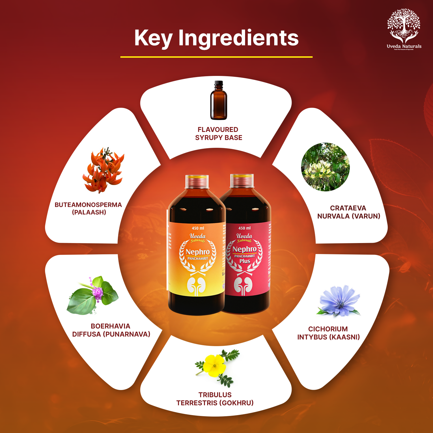 Uveda Naturals Nephro Panchamrit and Nephro Panchamrit Plus Combination 