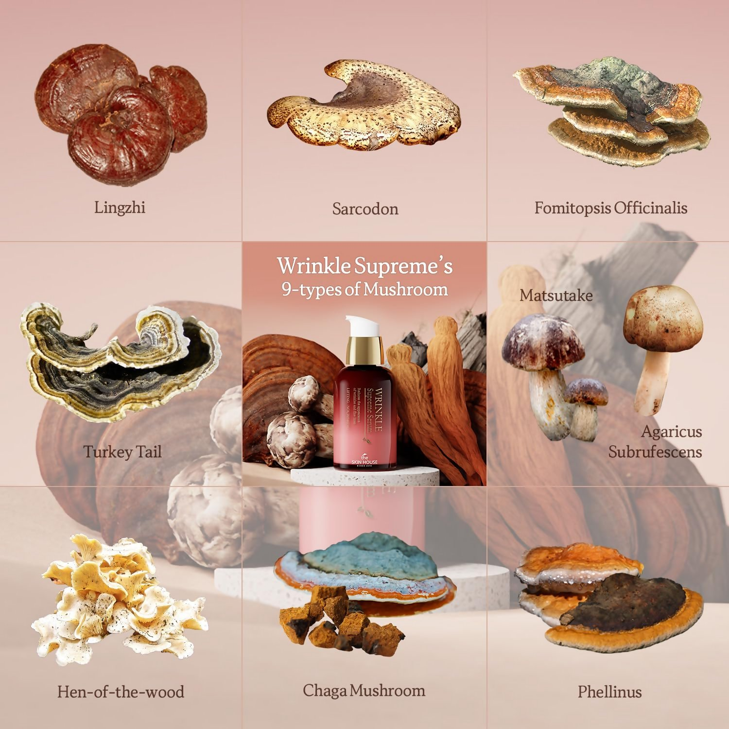 The Skin House since 1979 Wrinkle Supreme Serum  Grab2Buy The Skin House Grab2Buy