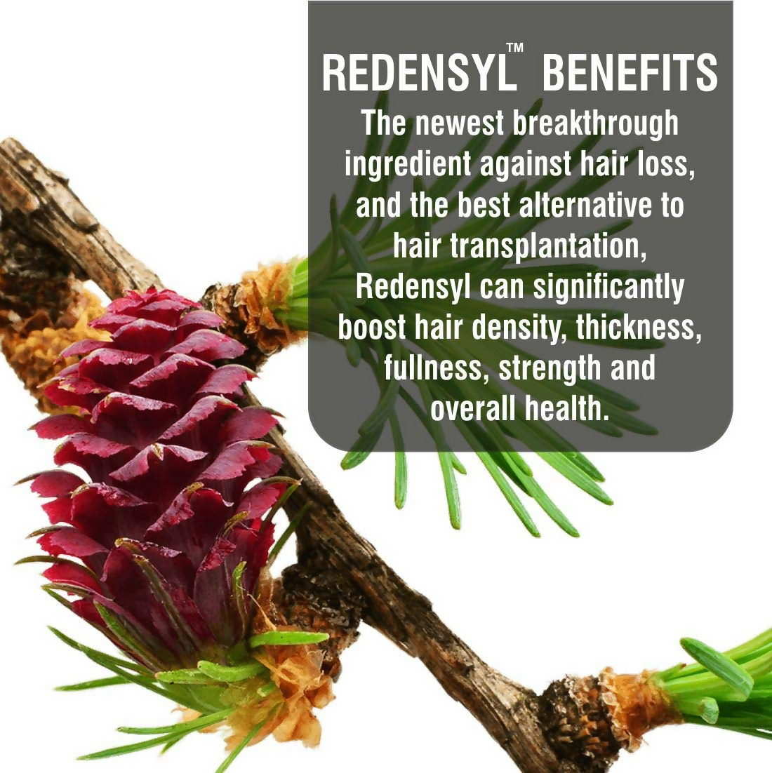 LA Organo Red Onion Hair Oil | Swadesiicart