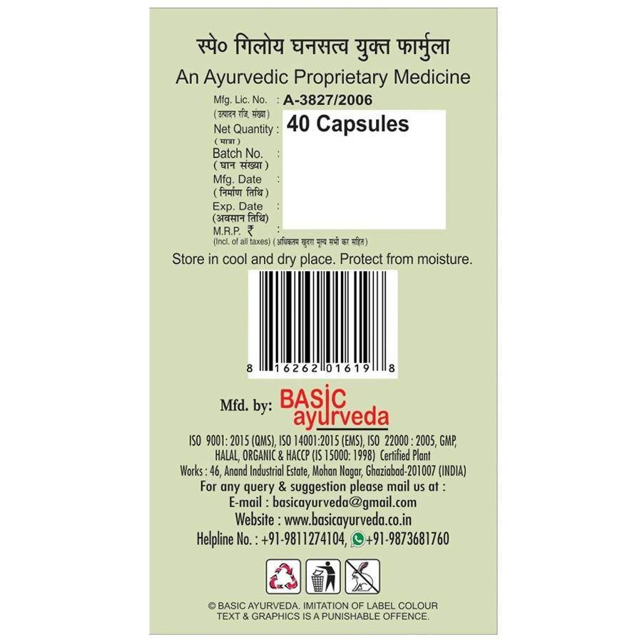 Basic Ayurveda Giloy Power Capsules  Grab2Buy Basic Ayurveda Grab2Buy
