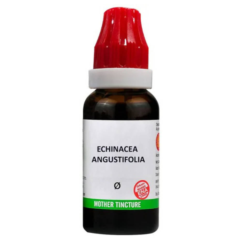 Bjain Homeopathy Echinacea Angustifolia Mother Tincture Q - Grab2buy