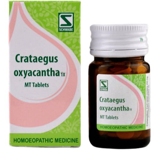 Dr. Willmar Schwabe India Crataegus Oxyacantha 1X MT Tablets 
