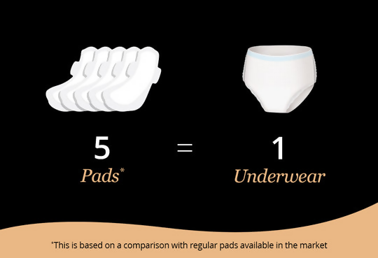 Carmesi Disposable Period Panties  Grab2Buy Carmesi Grab2Buy