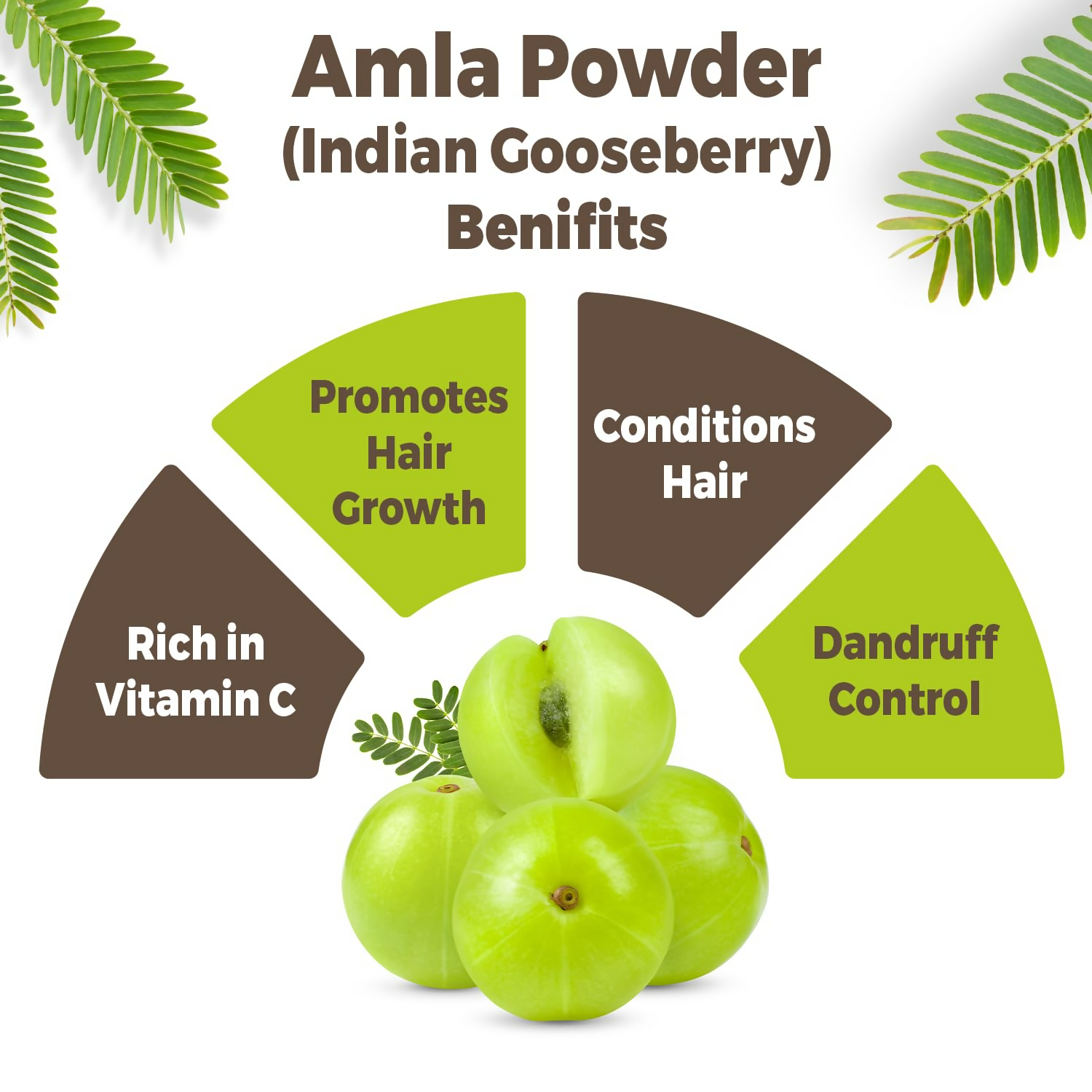 Carmel Organics Amla Fruit Powder 