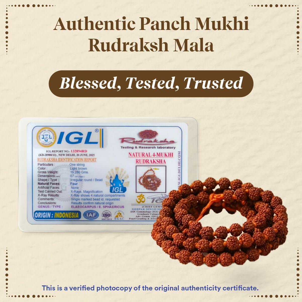 Pujashree Rudraksh Mala Small 8mm – Sacred Prayer Beads for Meditation, Chanting & Spiritual Wear
