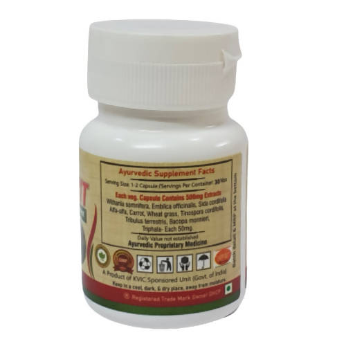 Deep Ayurveda Ayurvit 500mg Veg Capsules - Grab2buy