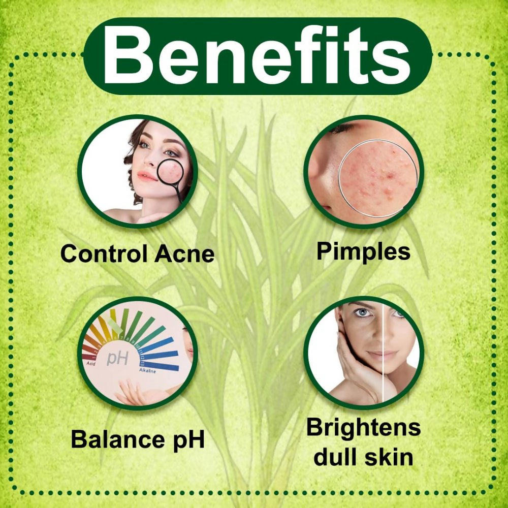 VedicAyurveda Lemongrass Hydrosol Skin Toner With Glycerine  Grab2Buy VedicAyurveda Grab2Buy