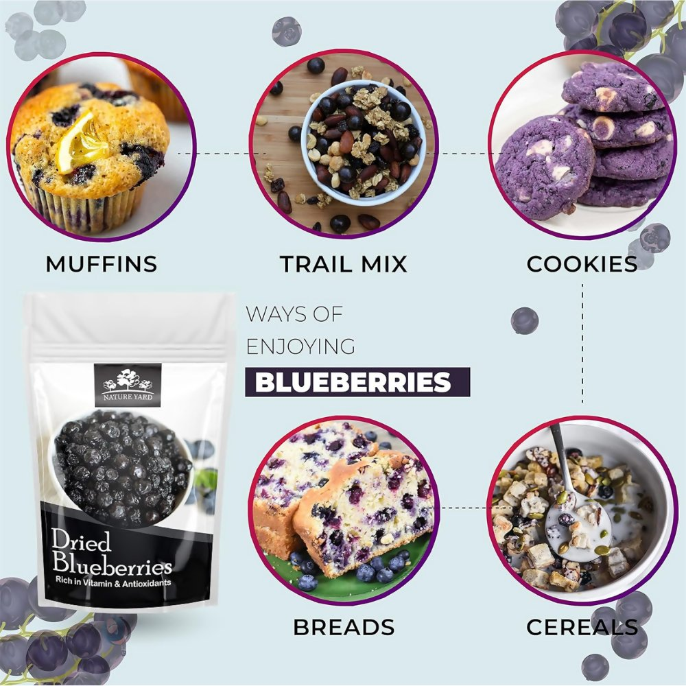 Nature Yard Dried Blueberry, Whole Dried Cranberry, Goji Berry, & Kiwi dry fruit