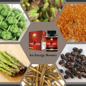 Cordy Herb Mens Sexual Health Supplement Capsules - Grab2buy