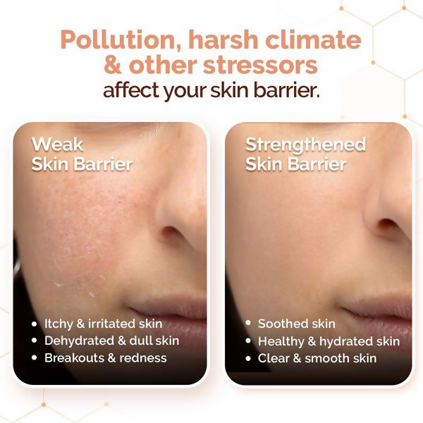 download - 2025-03-12T151454.256