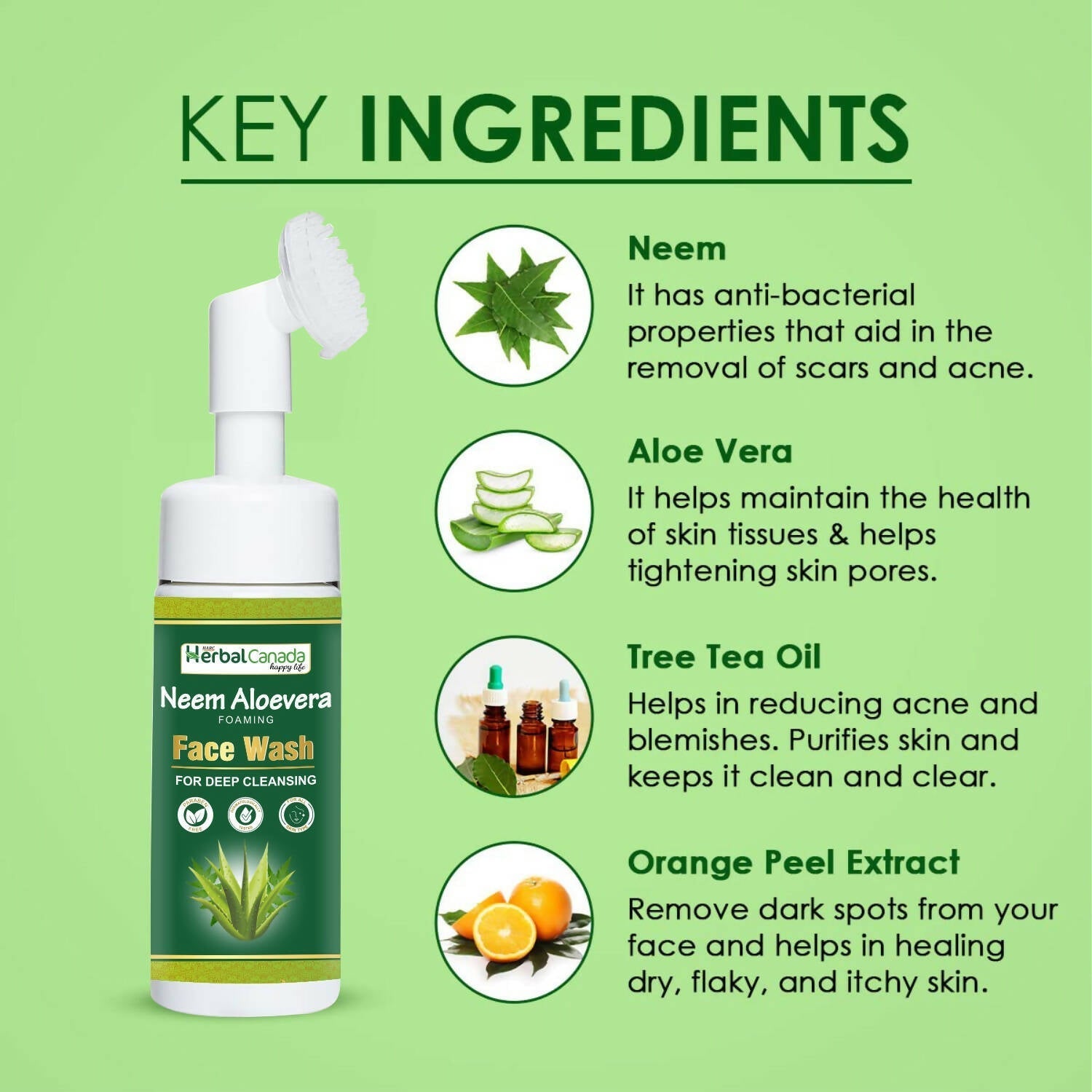 Herbal Canada Neem Aloe Vera Foaming Face Wash 