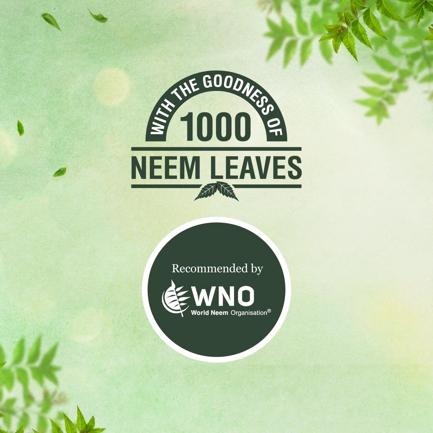 Margo Original Neem Soap  Grab2Buy Margo Grab2Buy