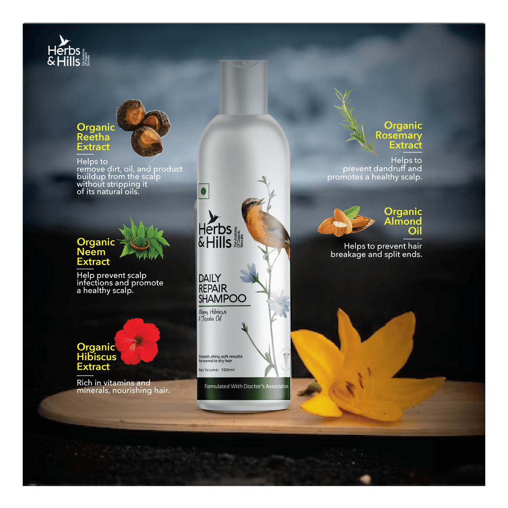 download - 2025-04-26T161858.352