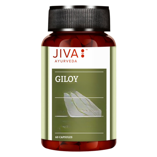 Jiva Ayurveda Giloy Capsules 
