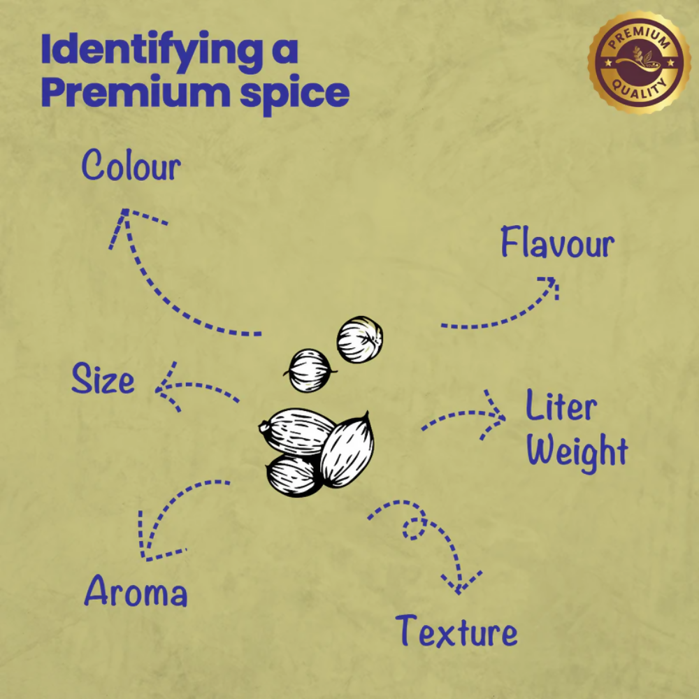 Crista Spices Coriander Powder