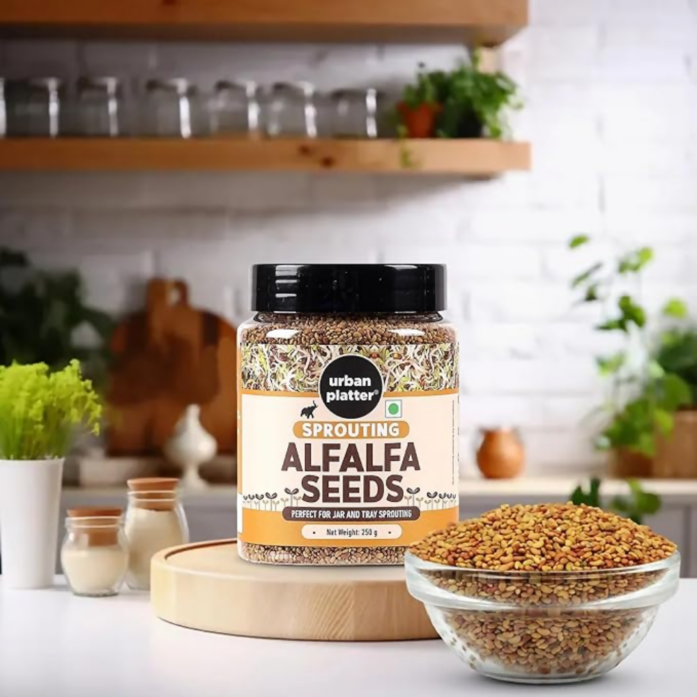Urban Platter Alfalfa Seeds  Grab2Buy Urban Platter Grab2Buy