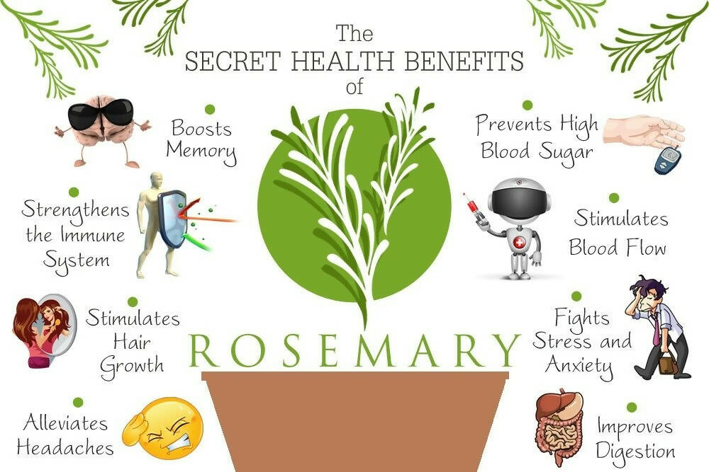 WishCare Rosemary Essential Oil  Grab2Buy Wishcare Grab2Buy
