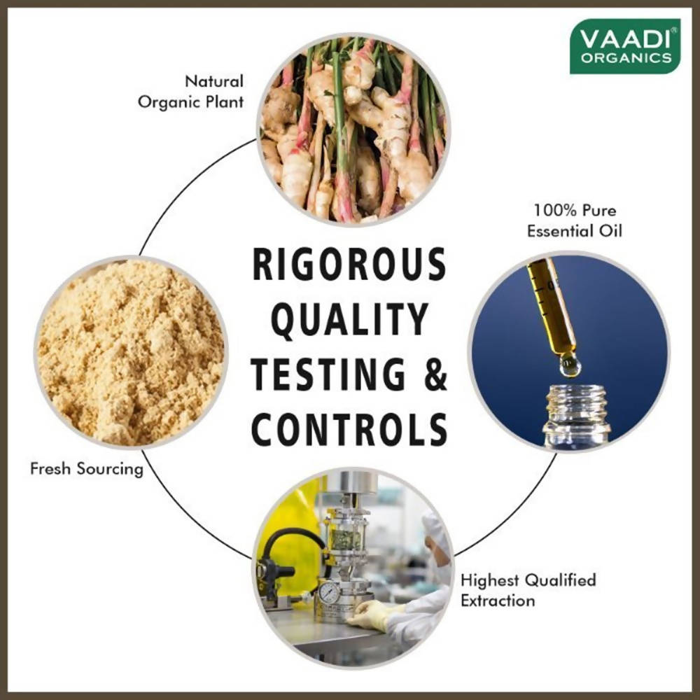 Vaadi Herbals Ginger 100% Pure Essential Oil Therapeutic Grade  Grab2Buy Vaadi Herbals Grab2Buy