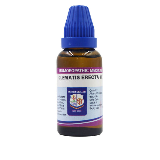 Father Muller Clematis Erecta Dilution - Grab2buy