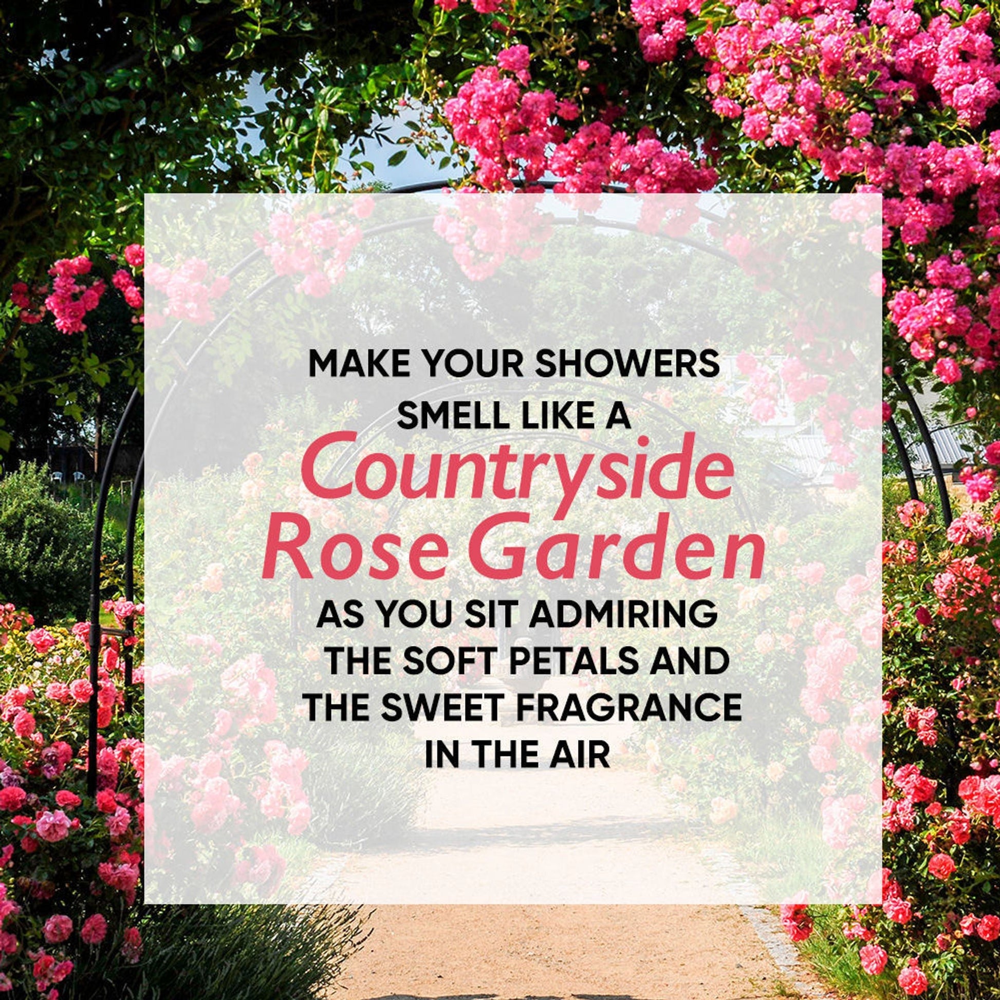 Wanderlust Shower Gels - Country Rose  Grab2Buy Wanderlust Grab2Buy