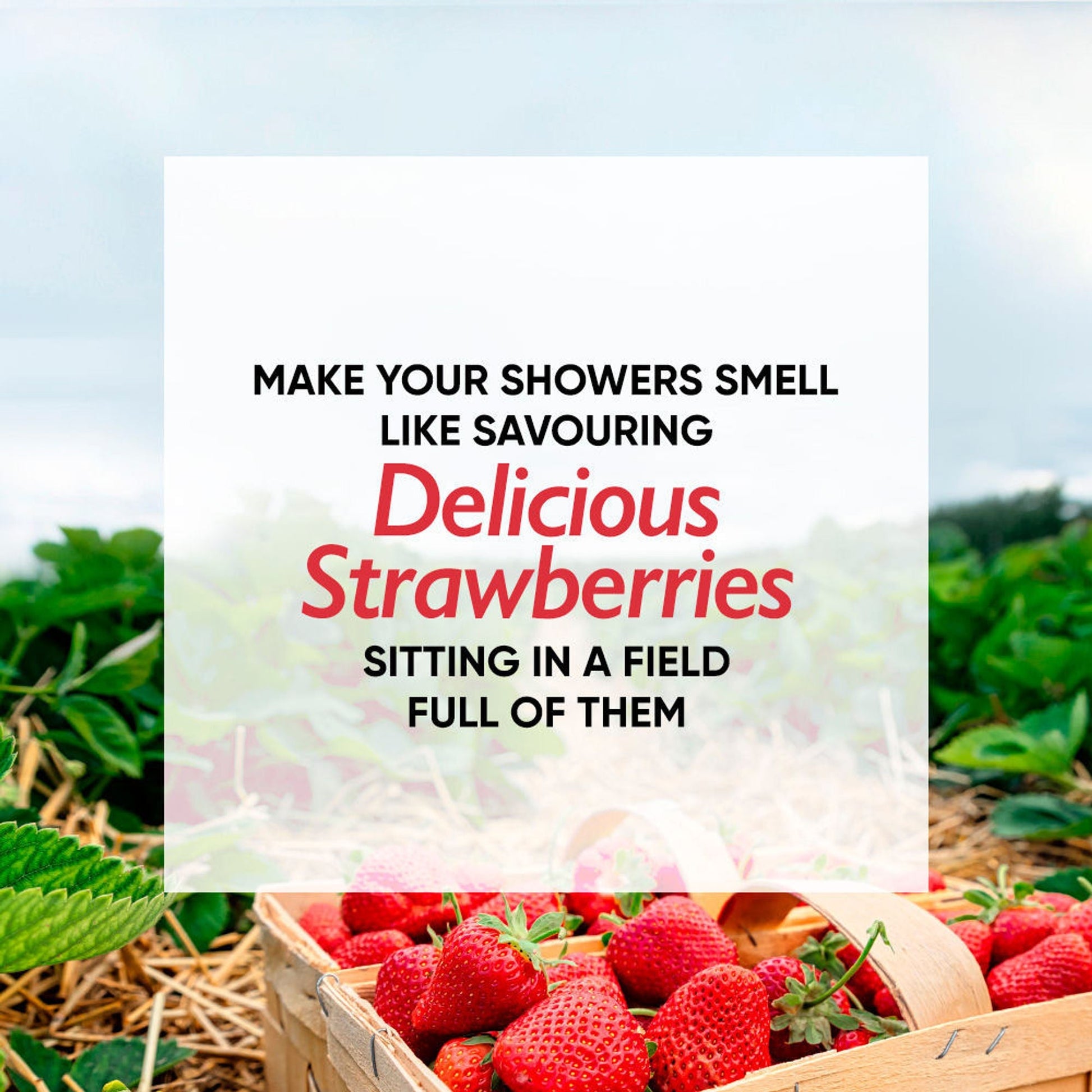 Wanderlust Shower Gels - Strawberry Daiquiri  Grab2Buy Wanderlust Grab2Buy