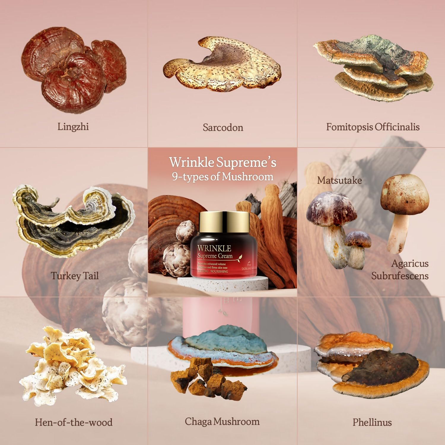 The Skin House Wrinkle Supreme Cream  Grab2Buy The Skin House Grab2Buy