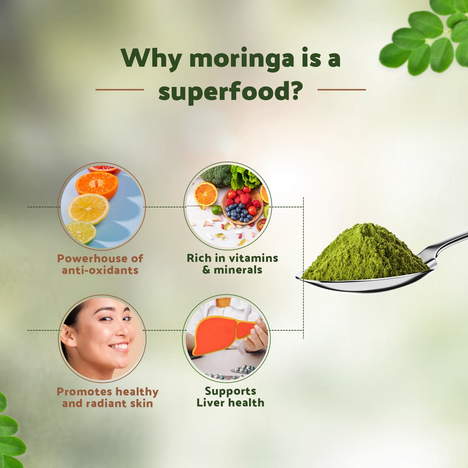 Krishna'S Herbal & Ayurveda Moringa Powder 
