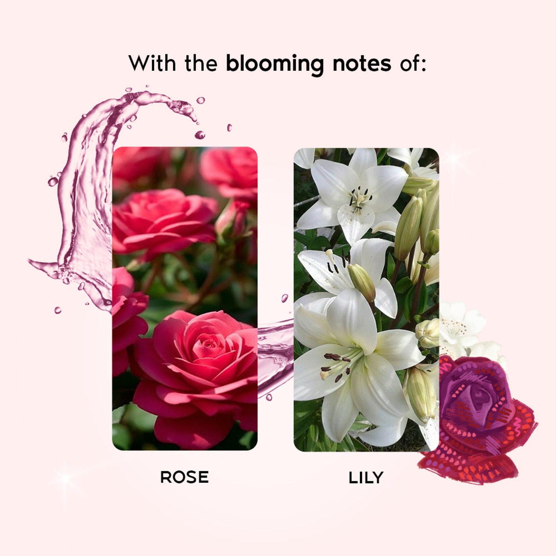 Wanderlust Fragrance Mist For Her - English Country Rose  Grab2Buy Wanderlust Grab2Buy