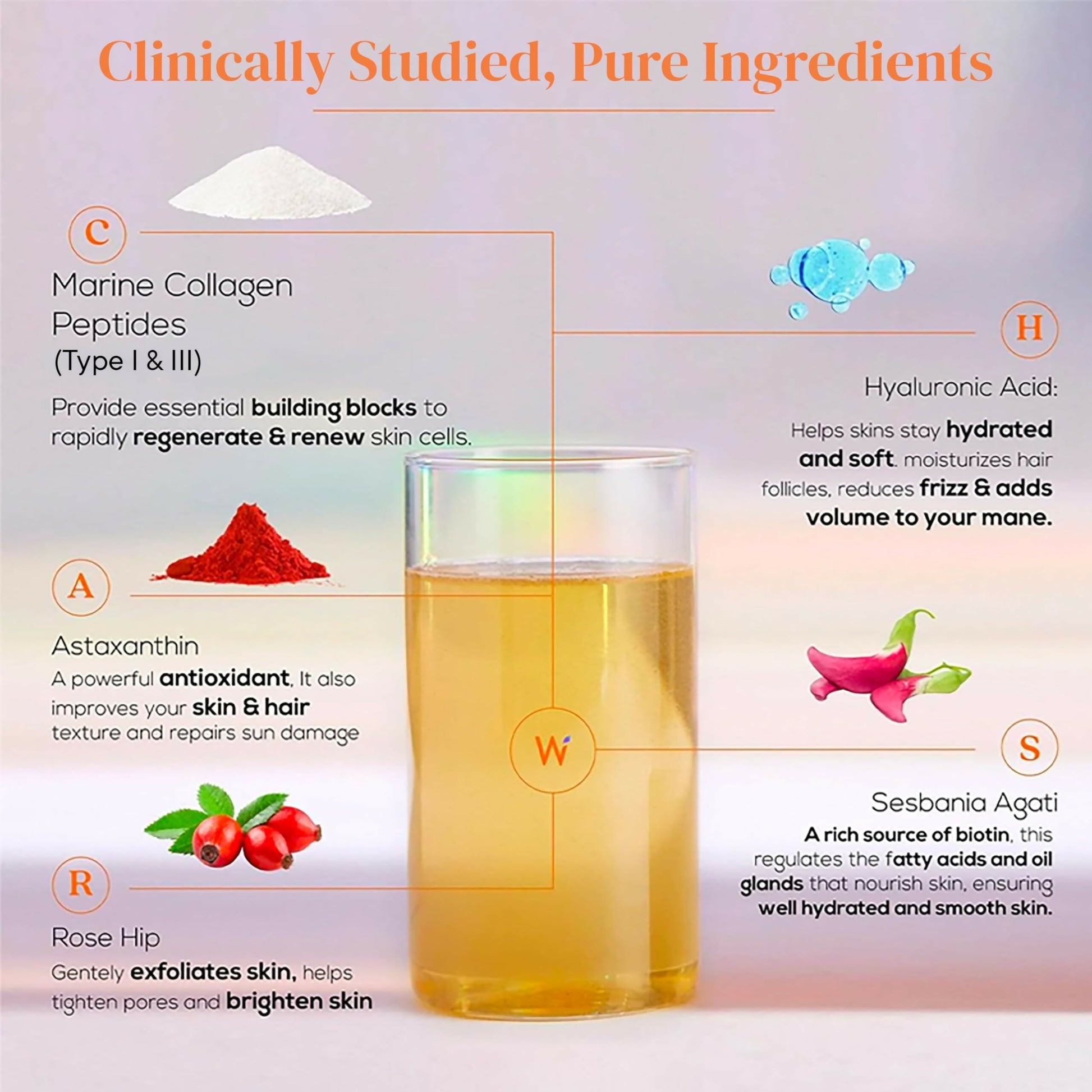 Wellbeing Nutrition Glow Korean Marine & Beauty Collagen Combo: Tropical Bliss & Mango Peach Flavor  Grab2Buy Wellbeing Nutrition Grab2Buy