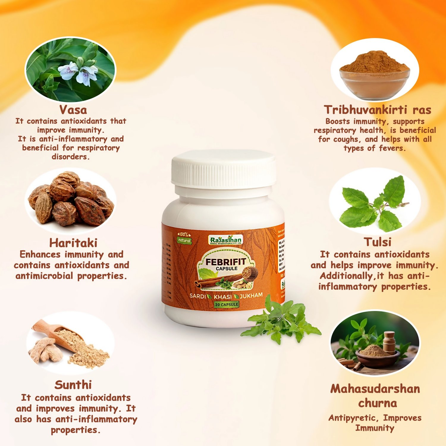 Rajasthan Herbals Febrifit Capsules 