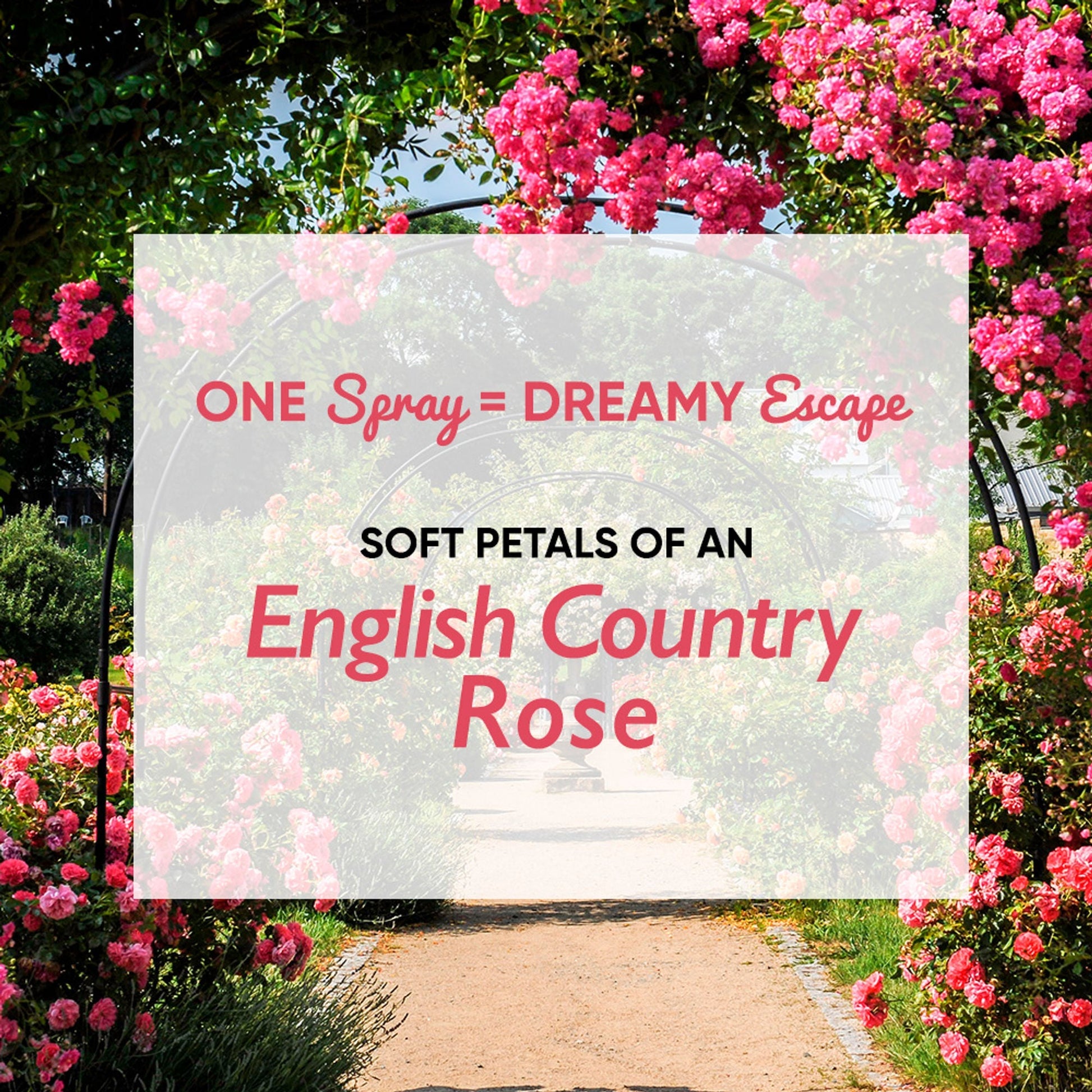 Wanderlust Fragrance Mist For Her - Country Rose  Grab2Buy Wanderlust Grab2Buy