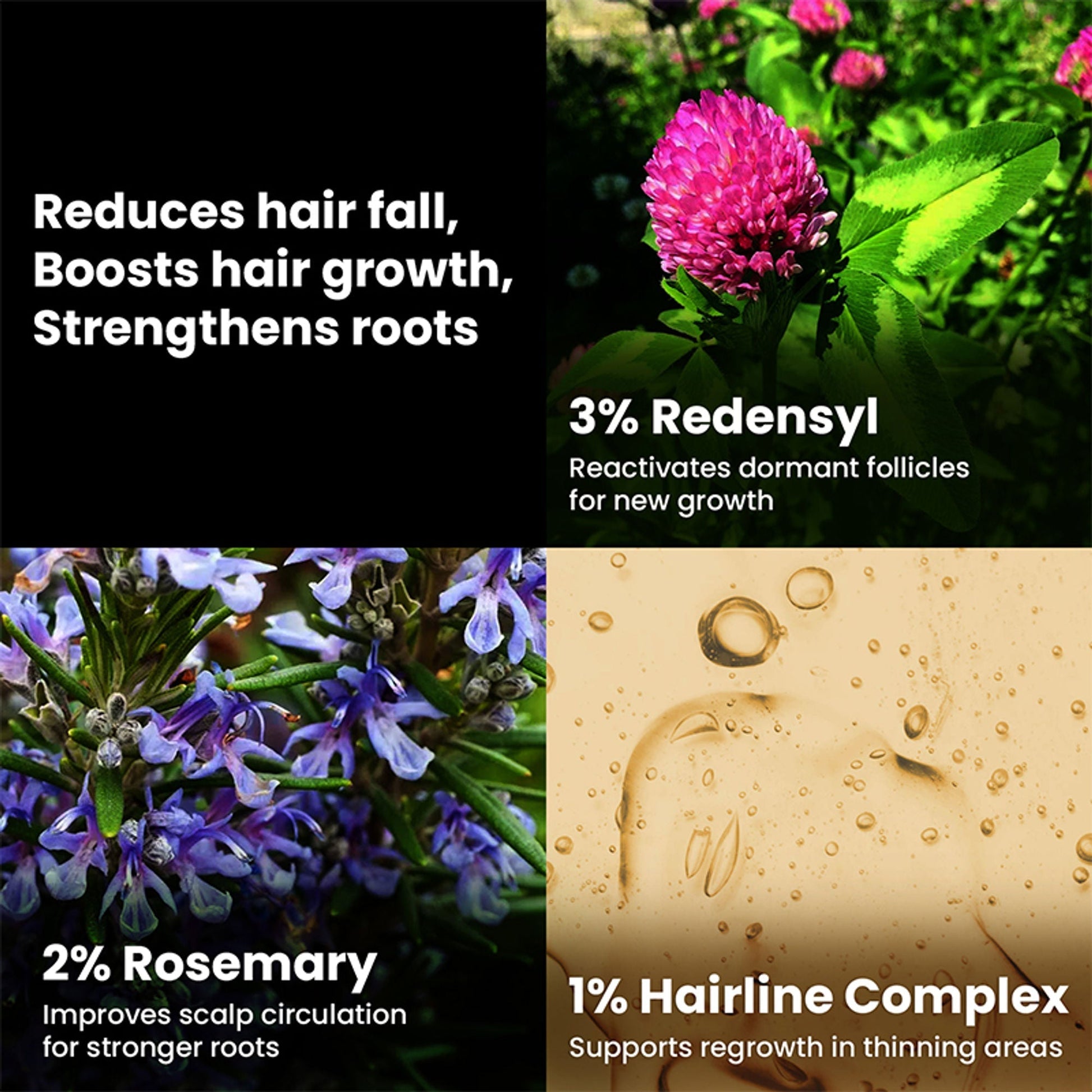 The Skin Story Hair Growth Serum  Grab2Buy The Skin Story Grab2Buy