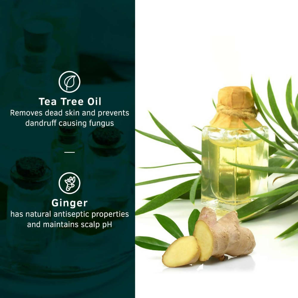 Ustraa Anti Dandruff Hair Shampoo With Ginger & Tea Tree For Men  Grab2Buy Ustraa Grab2Buy
