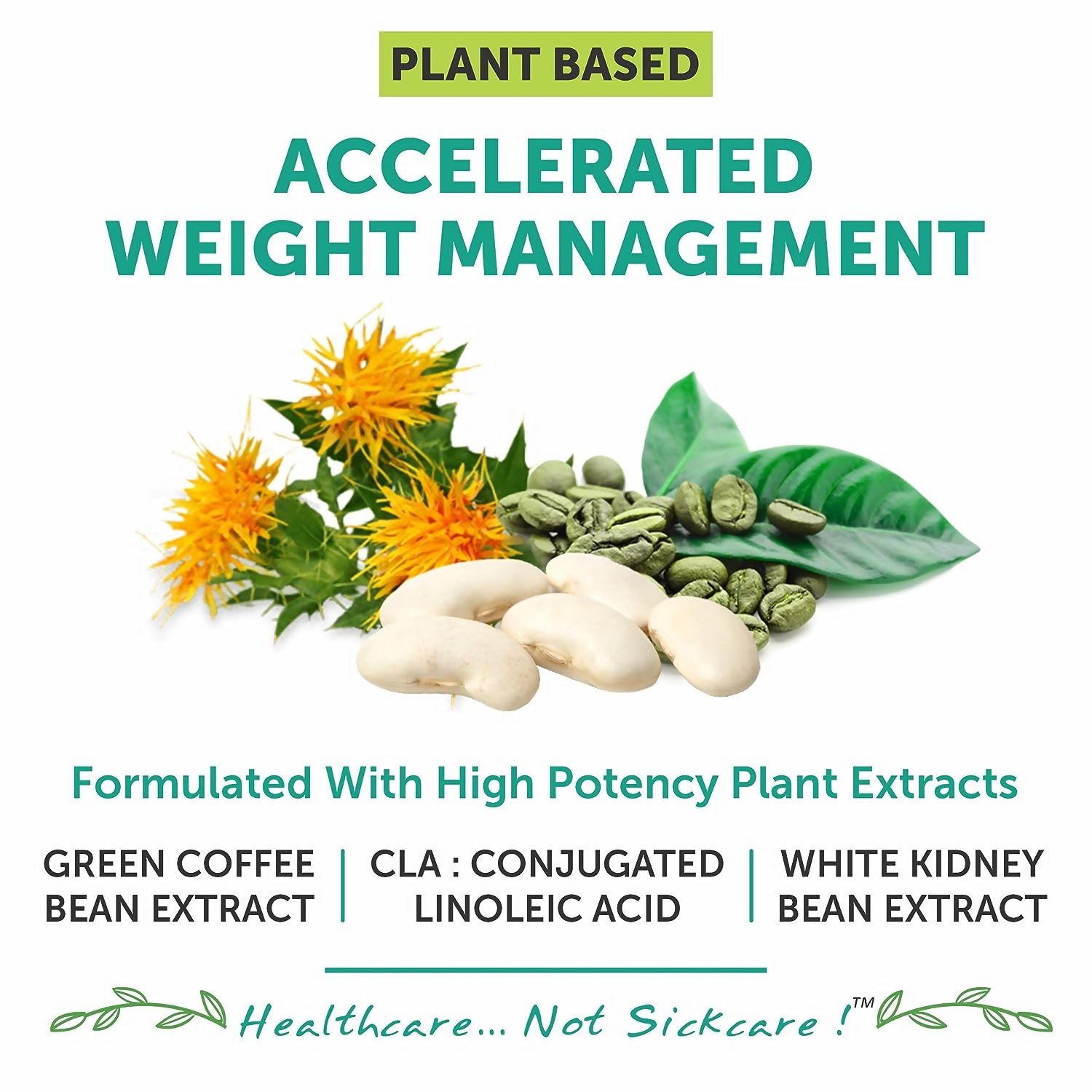 Bliss Welness CLA White Kidney Bean Extract Green Coffee Bean Extract Tablets 