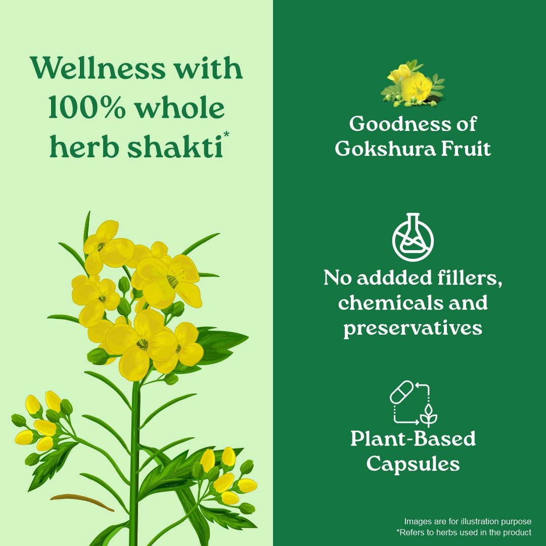 Organic India Gokshura Capsules 