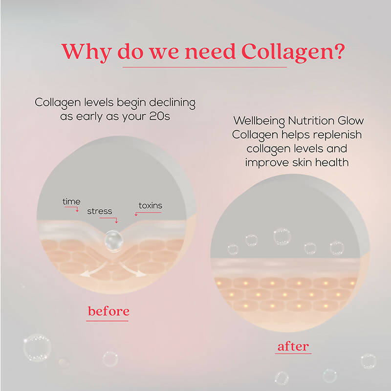 Wellbeing Nutrition Glow Korean Marine Collagen Peptides-Tropical Bliss Flavor - Grab2buy