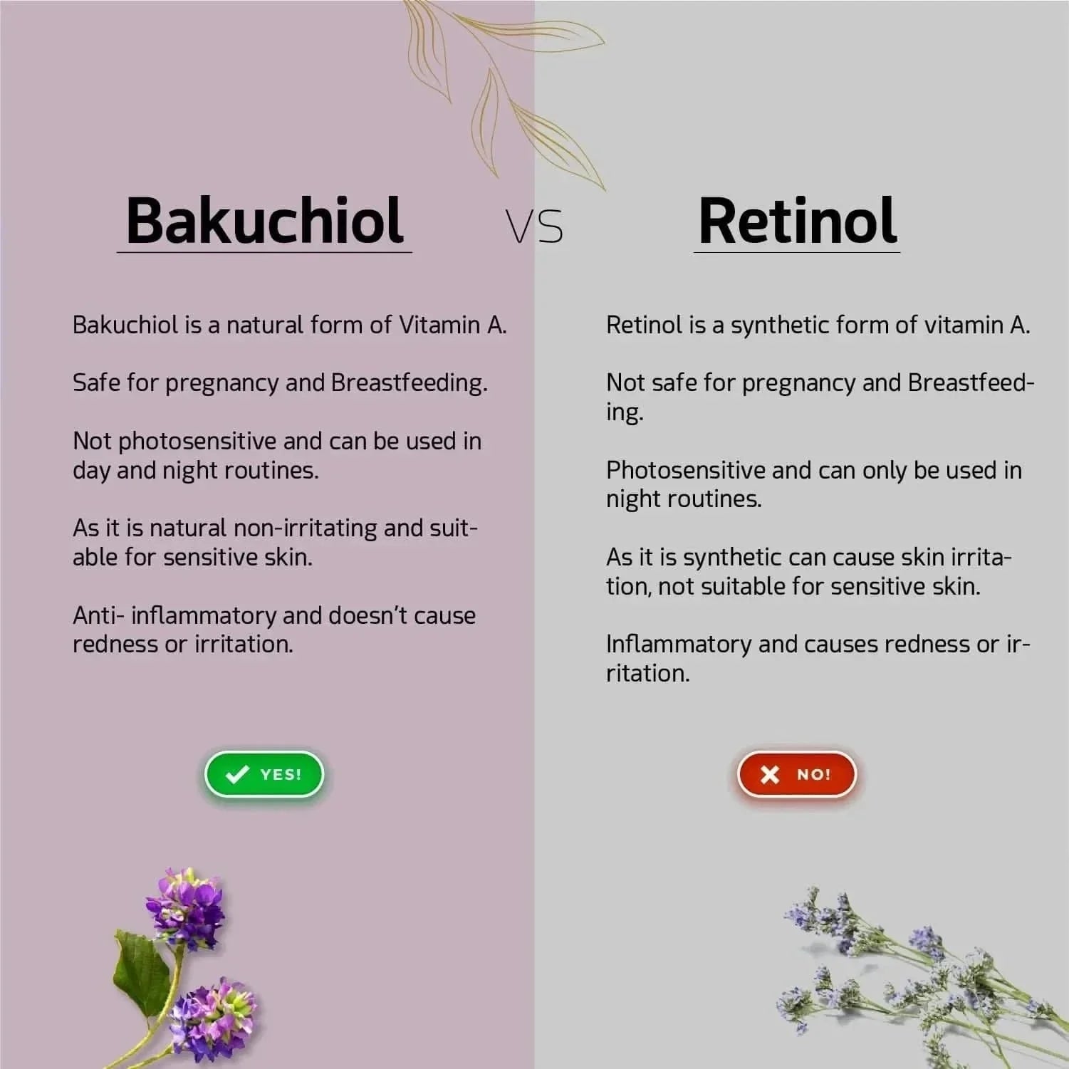 We Herbal Bakuchiol Serum: Gentle, Ayurvedic Anti-Aging Potion  Grab2Buy We Herbal Grab2Buy